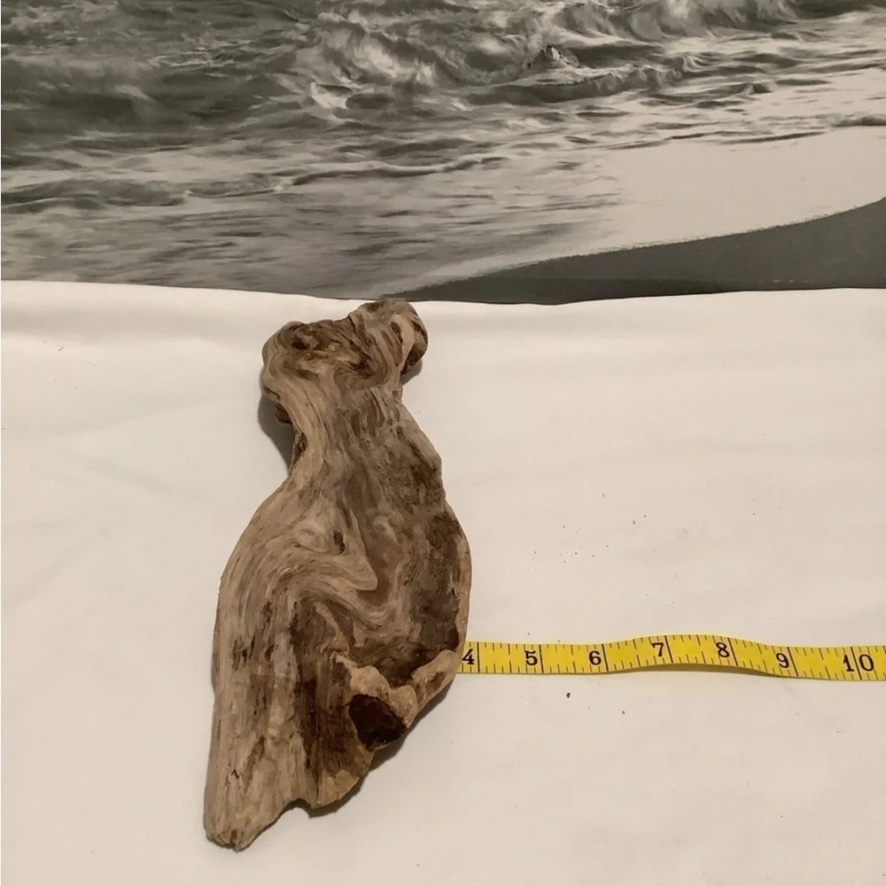 Driftwood , Driftwood Piece For Crafting ,Reptile Habitats